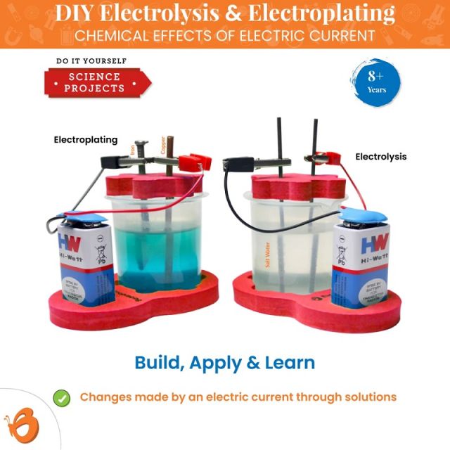 Butterfly Edufields - Science Project Kit DIY Electrolysis And Electroplating